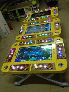 一網(wǎng)打盡捕魚機(jī)價格與軟件開發(fā)全解析